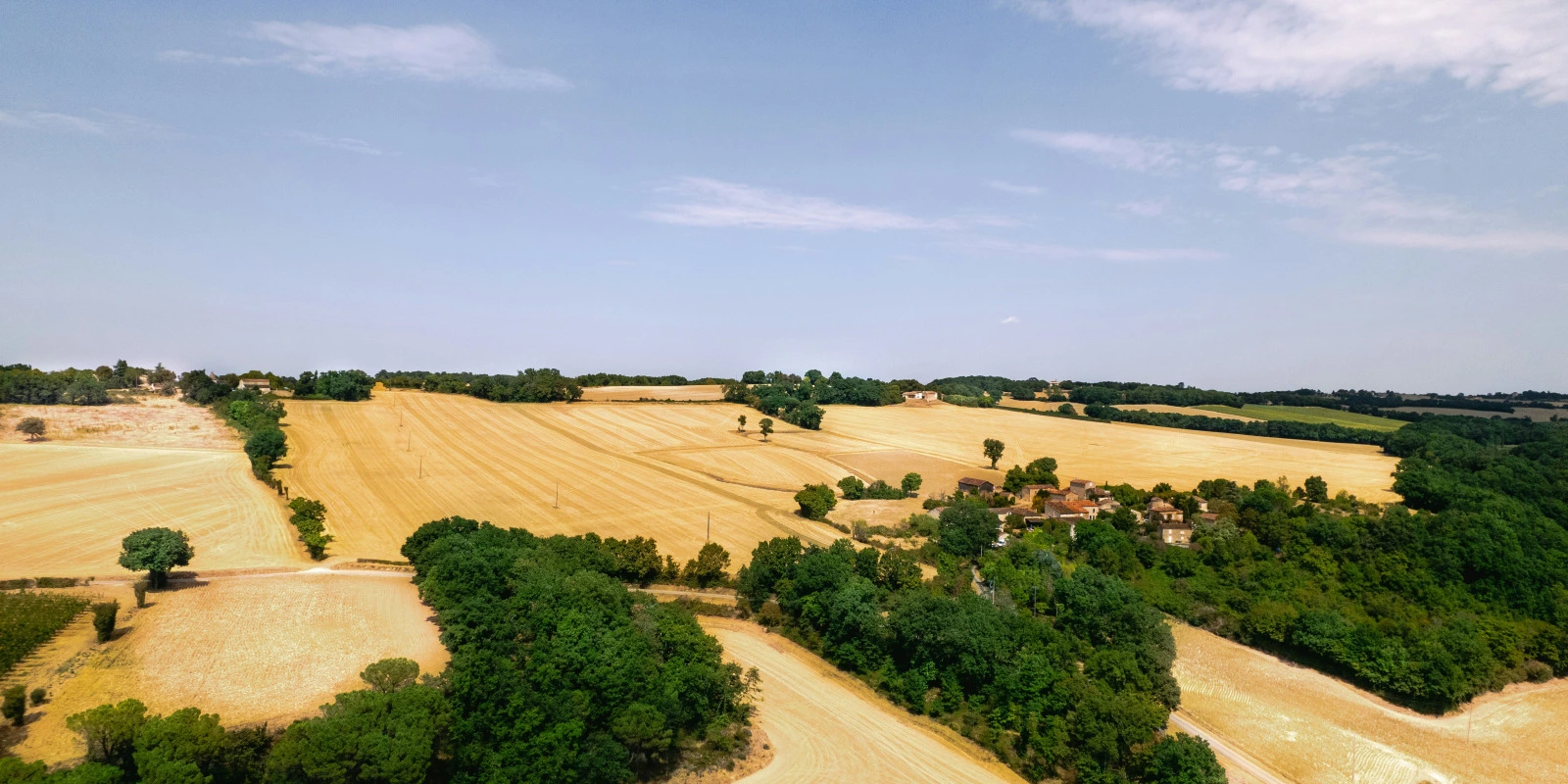 Demande Licence Entrepreneur du Spectacle : Guide