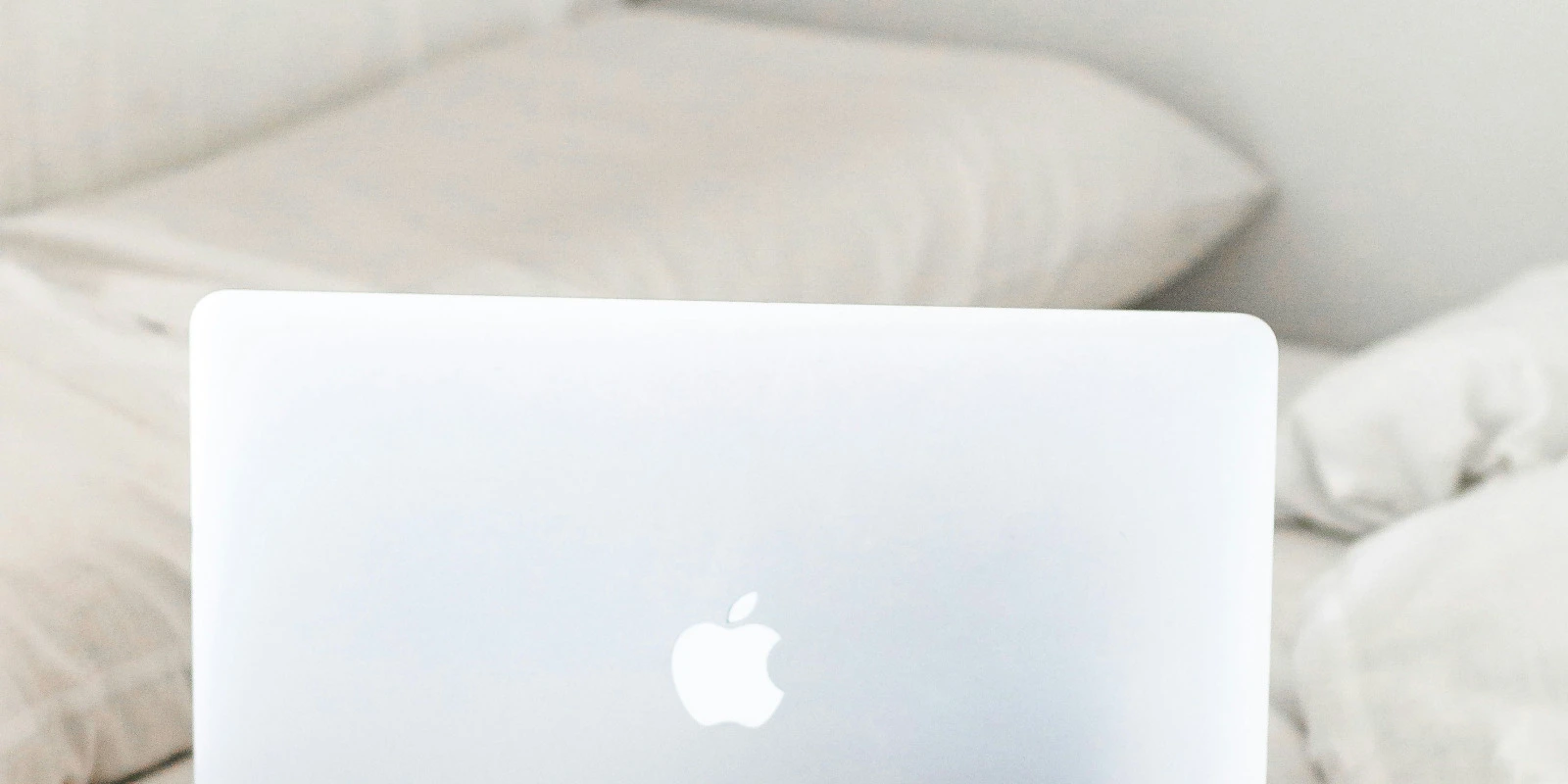 Durée Validité Licence Entrepreneur Spectacle