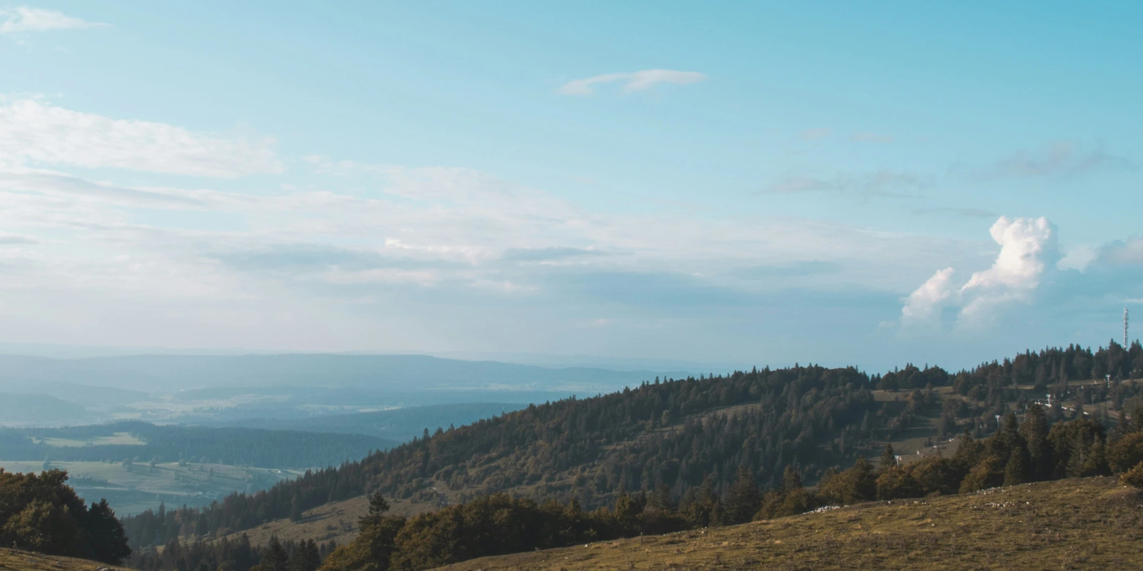 Formation Sécurité Licence Entrepreneur de Spectacle
