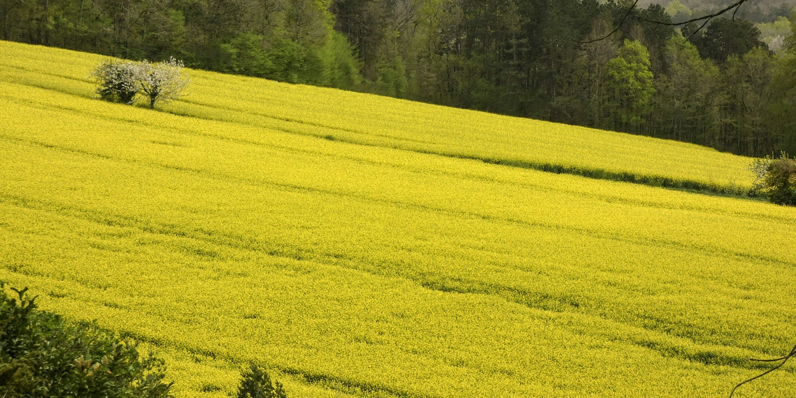Le Cinéma Documentaire : Enjeux Éthiques et Esthétiques