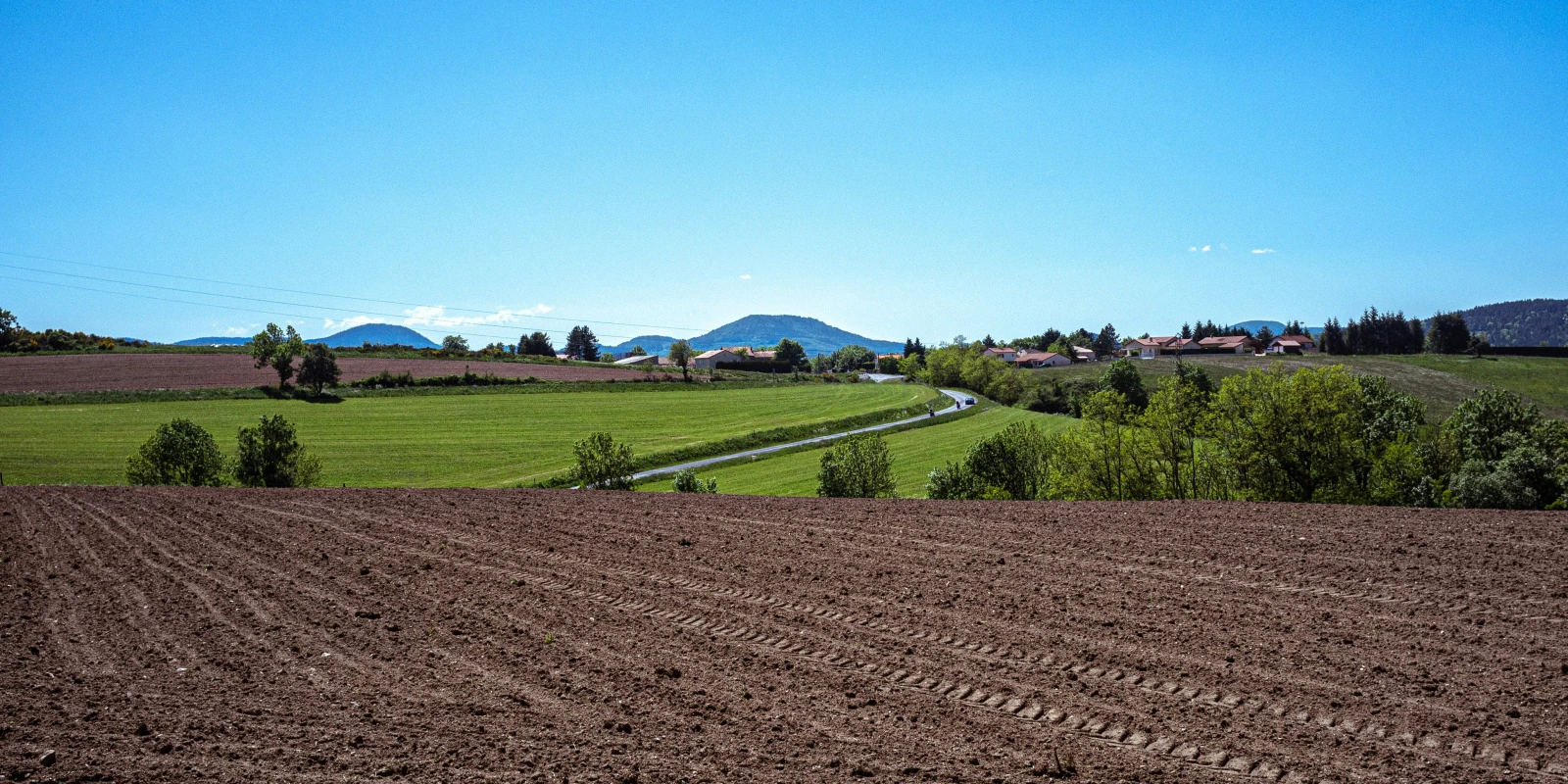Les Arts Vivants et le Multimédia : Nouvelles Formes de Création