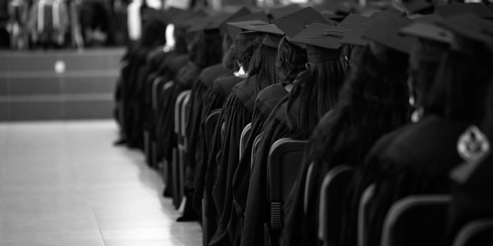 Licence 3 Spectacle Vivant : Pourquoi la Choisir ?