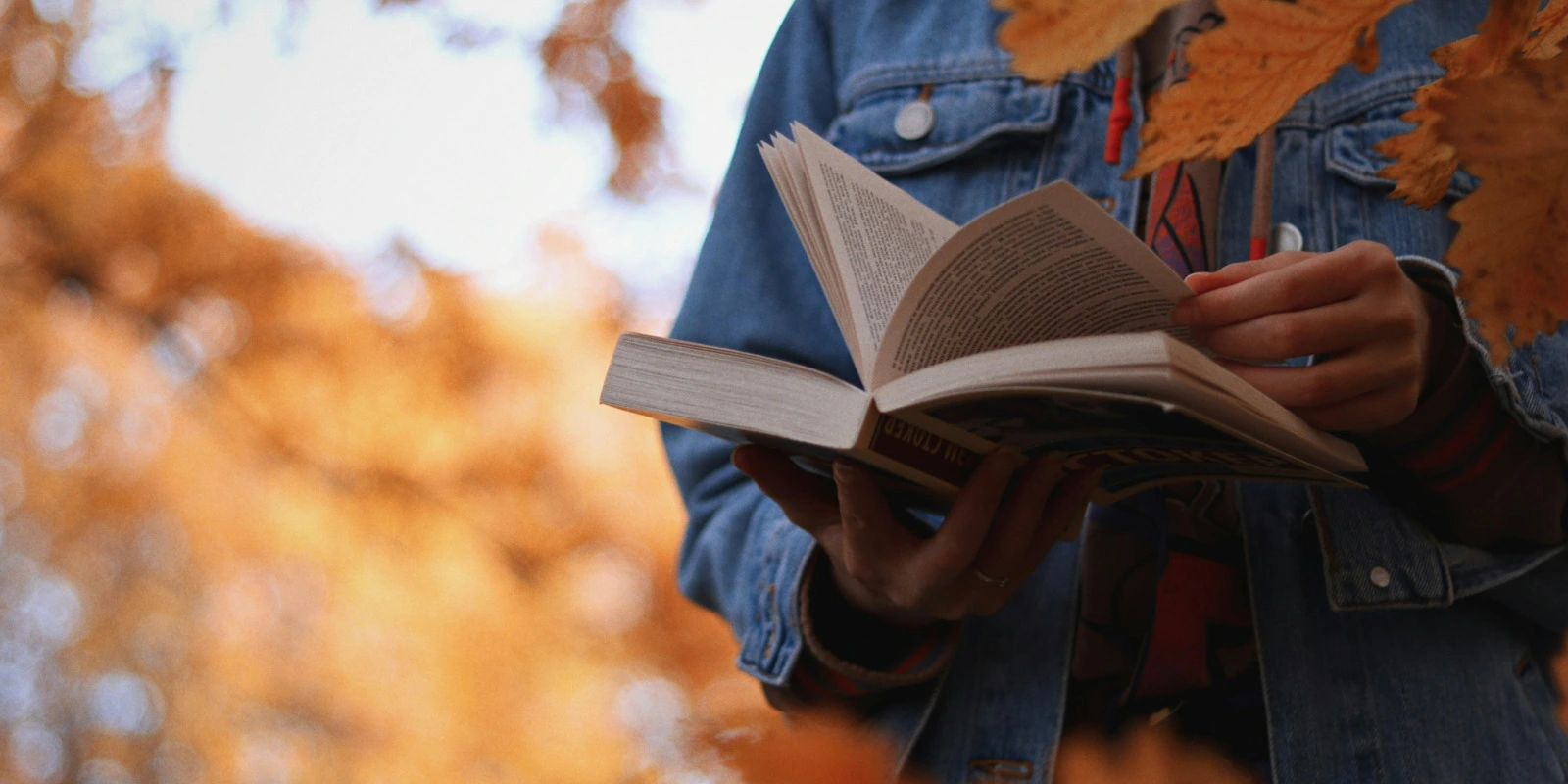 Licence AS (Arts du Spectacle) : Étudier à Poitiers