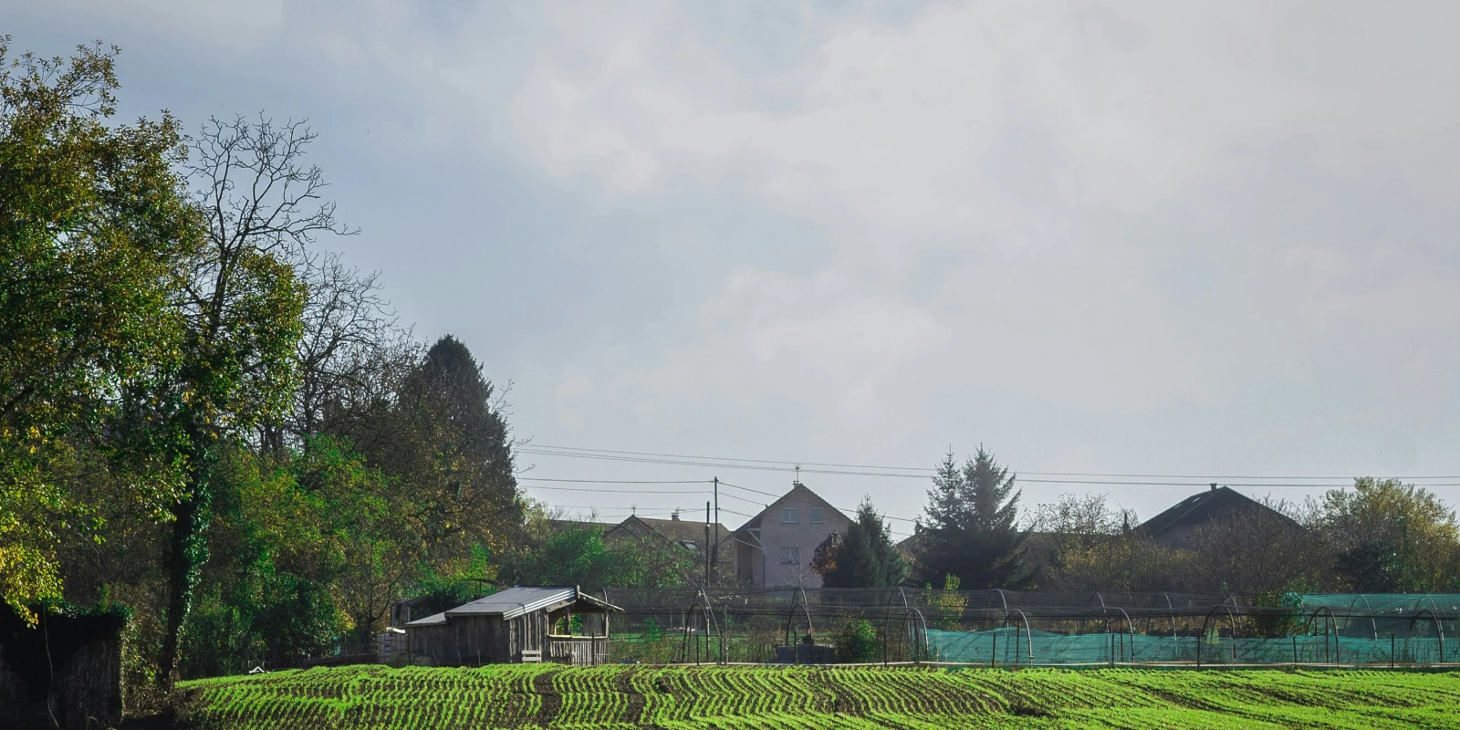 Licence Spectacle : Obligations et Régulations