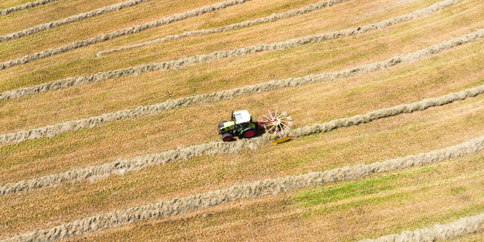 Prix Licence Entrepreneur de Spectacle : Estimation