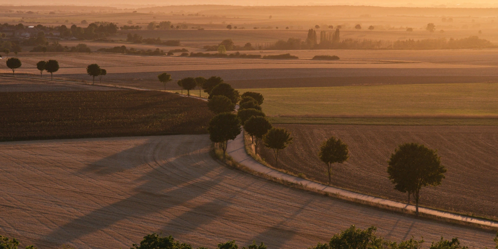 Que Faire Après une Licence Art du Spectacle ?